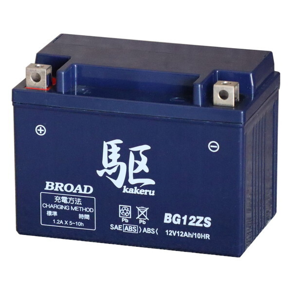 u[h BG12ZS  2֎ԗpobe[