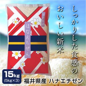 令和五年度産 福井県産ハナエチゼン 15kg(5kg×3)