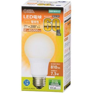 LED電球・LED蛍光灯
