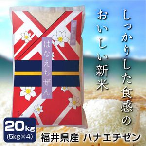 令和五年度産 福井県産ハナエチゼン 20kg(5kg×4)