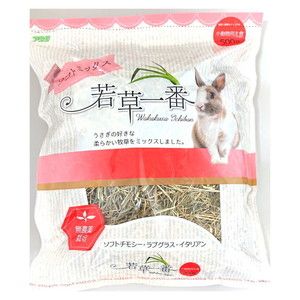 小動物用フード