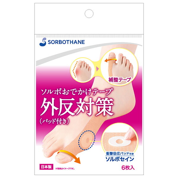 SORBO \{łe[vO΍(pbht) x[W 60090