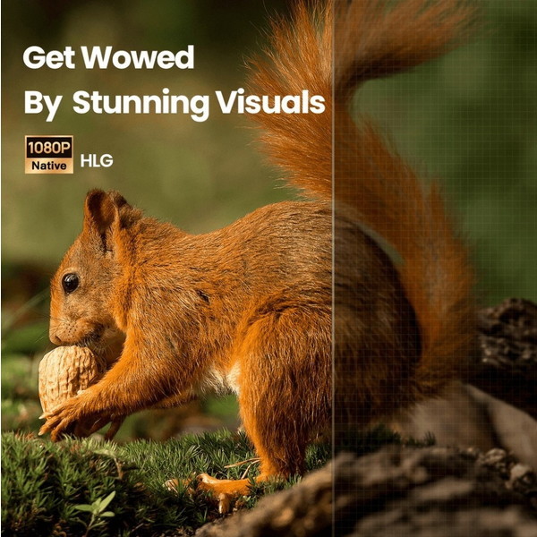 Dangbei Neo Projector Blue DBOD01 [レーザープロジェクター(540 ISO