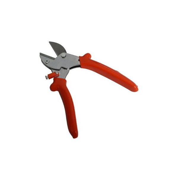 OWL #558 yʂ߂؂͂݃Ar^