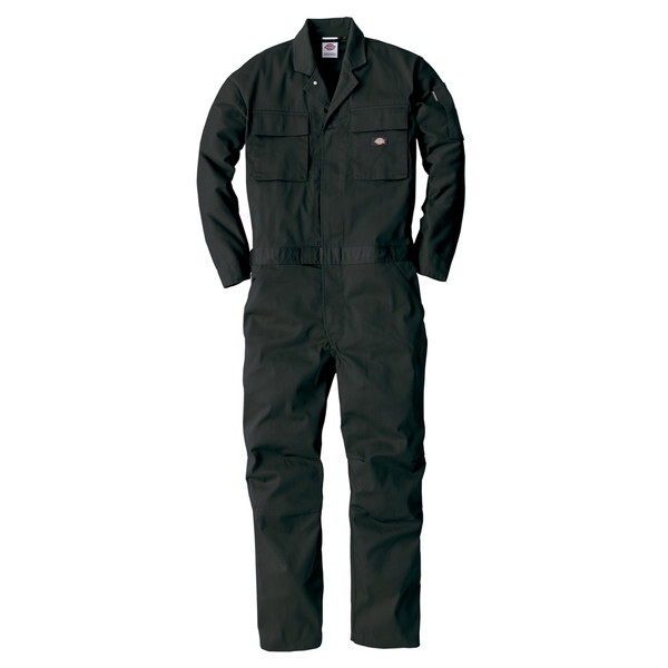 Dickies D766 ubN LL [T/CXgb`ciM]