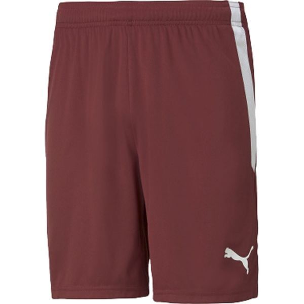 PUMA v[} TbJ[ EGA TEAMLIGA Q[pc Cbh L 705151 09