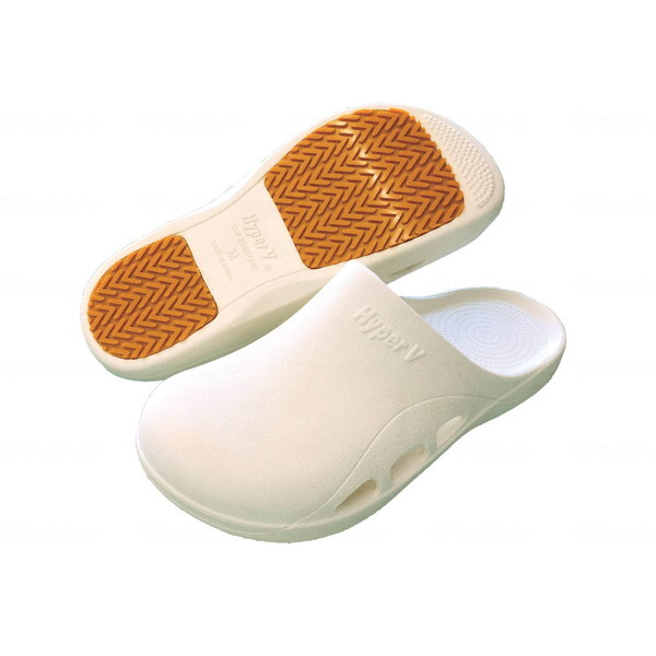 iS PitattoIIIT_ zCg L