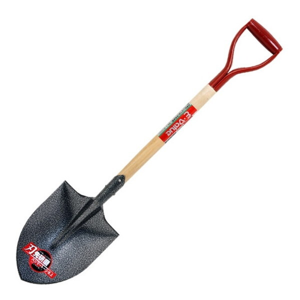 E-Value ؕۃVx(n挤) EWS-3