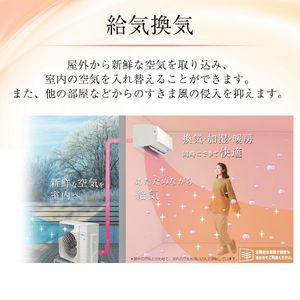 DAIKIN S63YTRXP-W ホワイト うるさらX RXシリーズ [エアコン (主に20 DAIKIN S63YTRXP-W ホワイト うるさらX RXシリーズ [エアコン (主に20