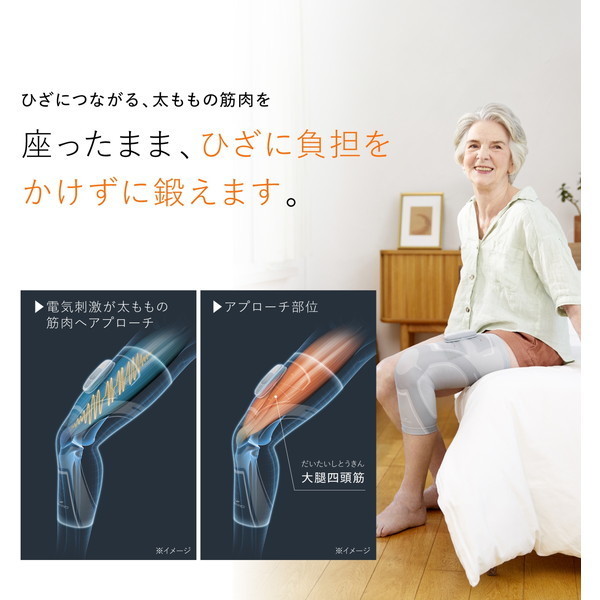 MTG SIXPAD Knee Fit 膝用EMS Mサイズ(左右兼用) 専用