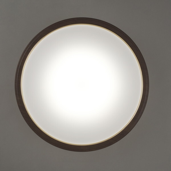 �A�C���X�I�[���} CEA14DL-5.0QWFM [LED�V�[�����O���C�g (�`14��/���F�E����) �����R���t��]