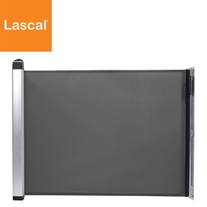 ラスカル（Lascal）】キディガード アヴァント | メタリック