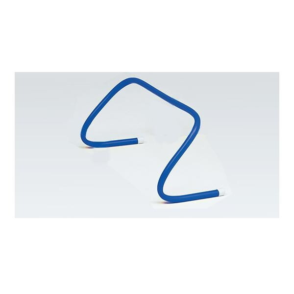 g[GCCg wZ̈ tLVun[h25 u[ G1380