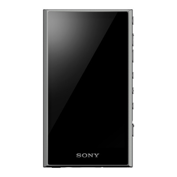 Sony 最新ウォークマン NW-A306(32GBモデル,グレー) + 付属品 | tspea.org