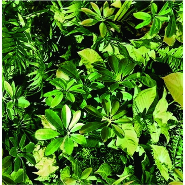 ���a�O���r�A �f�R�^�C���V�[�g DGT-08 ��25cm×100cm 8 �O���[��