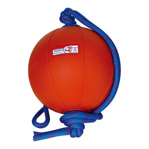 ダンベル/ウェイト