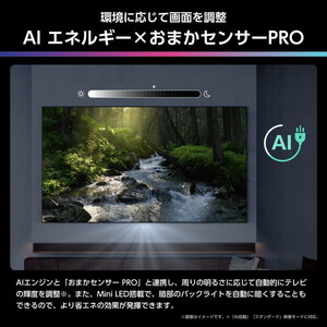 Hisense 55U8R [55V型 地上・BS・110度CSデジタル 4Kチューナー内蔵 4K
