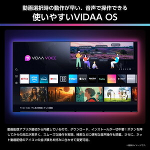 Hisense 55U8R [55V型 地上・BS・110度CSデジタル 4Kチューナー内蔵 4K