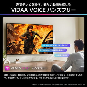 Hisense 50U8R [50V型 地上・BS・110度CSデジタル 4Kチューナー内蔵 4K