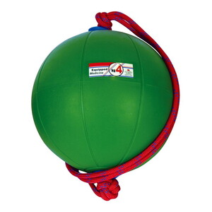 ダンベル/ウェイト