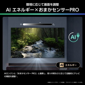 Hisense 43U6R [43V型 地上・BS・110度CSデジタル 4K内蔵 液晶テレビ