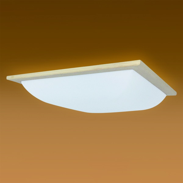 z^NX HLDZ08336SG [aV[OCg(`8//F) RL]
