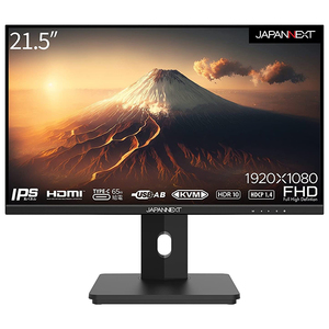 DELL P2422H プロフェッショナルシリーズ [23.8インチワイドモニタ