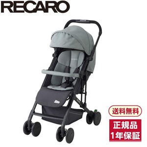 RECARO レカロ イージーライフ エリート2 サイレントグレー