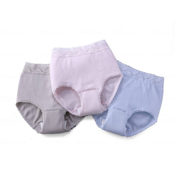 ~NFb` 100[Xt\tgK[[փV[c3Fg 3L