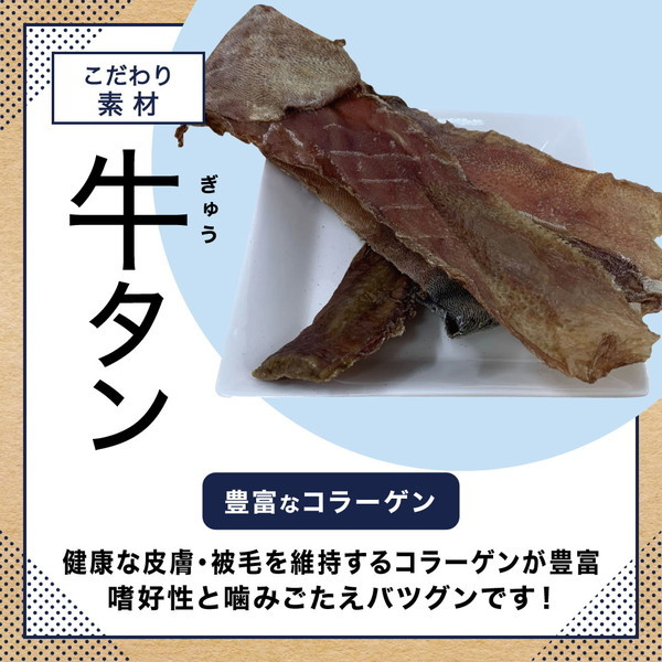 ペットプロ 国産おやつ 無添加 牛タン皮細切り 大袋 140g 激安の新品・型落ち・アウトレット 家電 通販 XPRICE エクスプライス  (旧 PREMOA プレモア)
