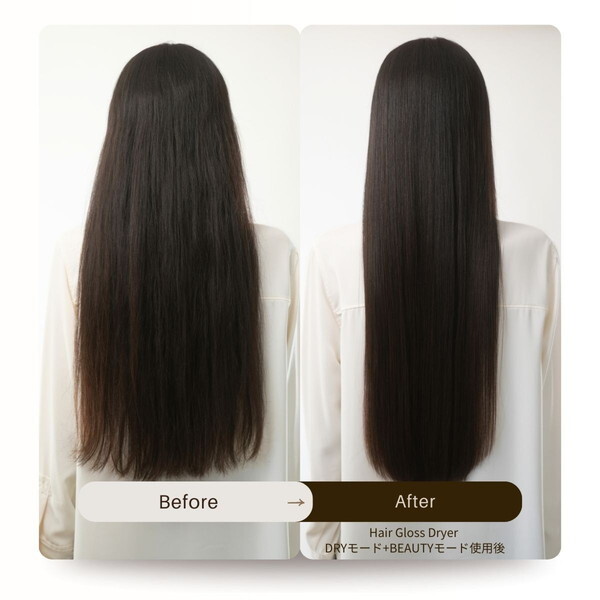 ELLE ED-WH-01 ELLE ヘアグロスドライヤー (ホワイト) | 激安の新品