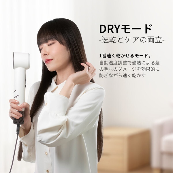 ELLE ED-WH-01 ELLE ヘアグロスドライヤー (ホワイト) | 激安の新品