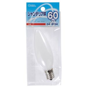 その他電球・蛍光灯