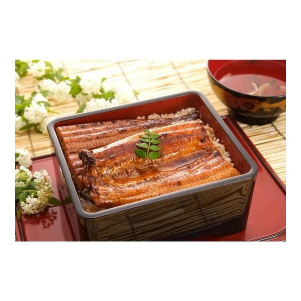 }}X yⓀz }}ȂĂ2 (v240g)