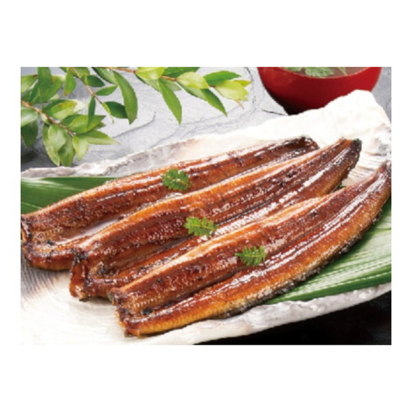 }}X yⓀz }}ȂĂ 3 (v360g)