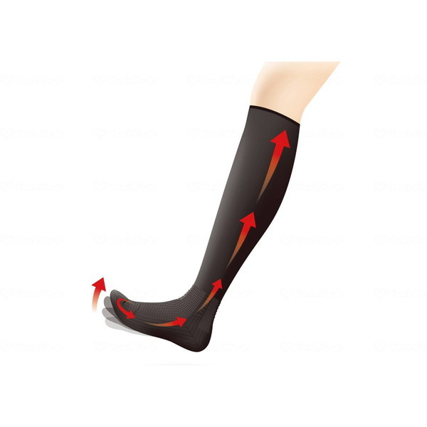 R[|[Vp[X^[ ނݑ΍C  24-25cm MKM24K