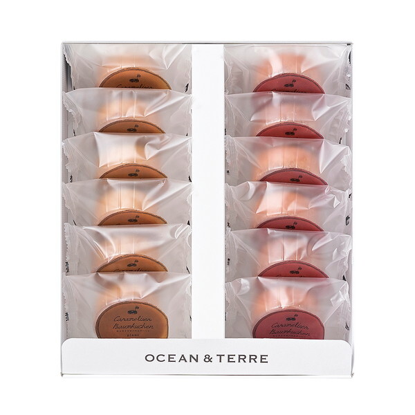 OCEAN&TERRE L[o[ZbgB A537