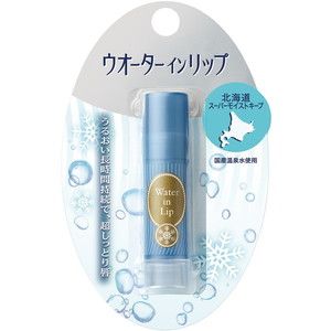ファイントゥデイ ウオーターインリップ スーパーモイストキープ n3.5g