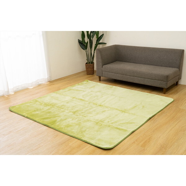 �C�P�q�R�E�R�[�|���[�V���� 1280500121303 cp�E�F���f�� 3�� GN 200×250 �O���[�� [�J�[�y�b�g (�{�����[�����O)]