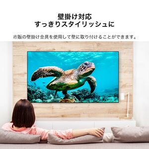 maxzen 75インチ 4K液晶テレビ JU75CH02 maxzen 75インチ 4K液晶テレビ JU75CH02 MAXZEN JU75CH02 [75インチ