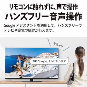 SHARP 8T-C60DW1 AQUOS [60V型 地上・BS・110度CSデジタル 8K SHARP 8T-C60DW1 AQUOS [60V型 地上・BS・110度CSデジタル 8K