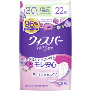 失禁パンツ（福祉介護）