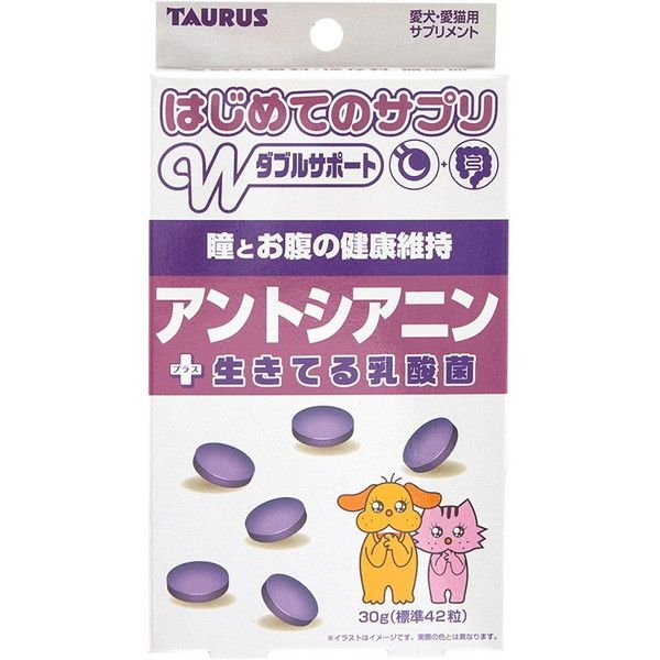 g[X ͂߂ẴTv AgVAj 30g