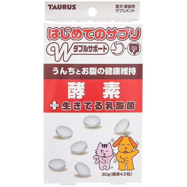 g[X ͂߂ẴTv yf 30g