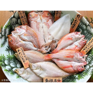 魚介類・海産物