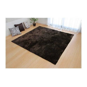 カーペット・ラグ