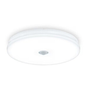 シーリングライト