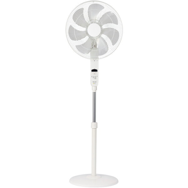 AsbNX AFL-286R(WH) zCg [DCtA[@]