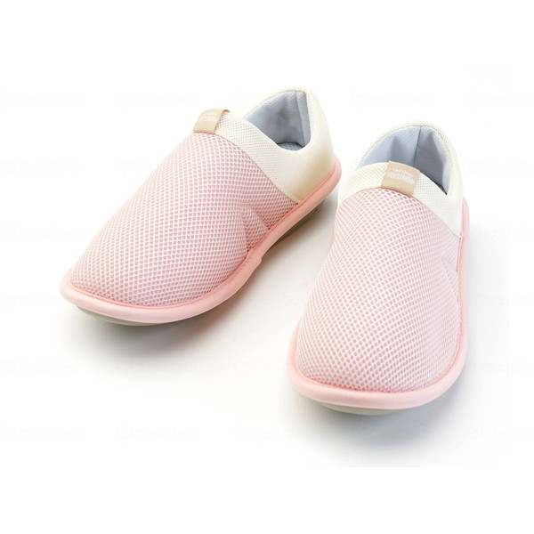 Y SUTTO fresh XbgtbV s[` M 2248