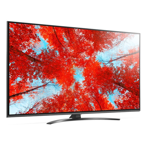 美品LG 65V型 4K液晶テレビ 65UQ9100PJD LGエレクトロニクス 65UQ9100PJD [65V型 地上・BS・110度CS